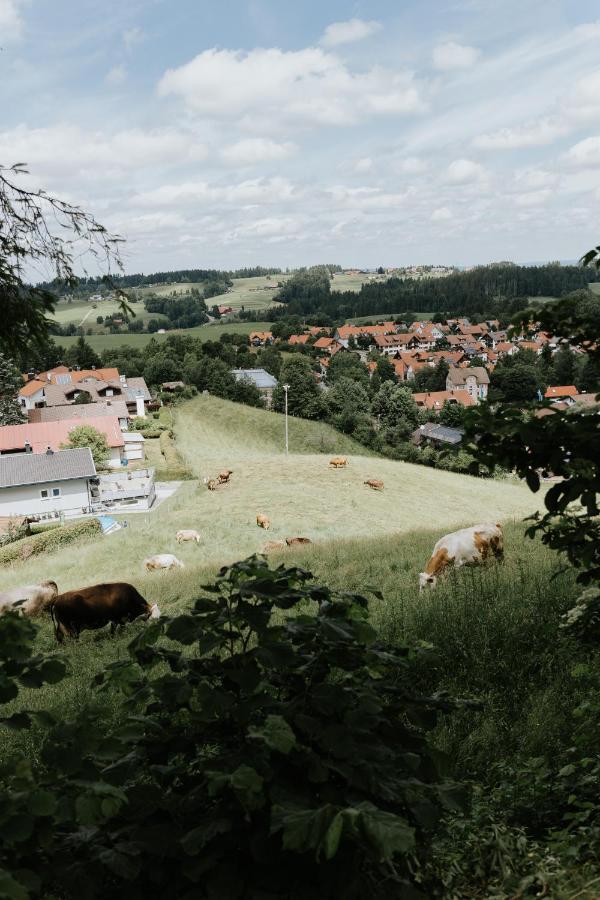 Ferienwohnung Alpenblick I Kamin I Private Sauna Ванген-ім-Алльгой Екстер'єр фото