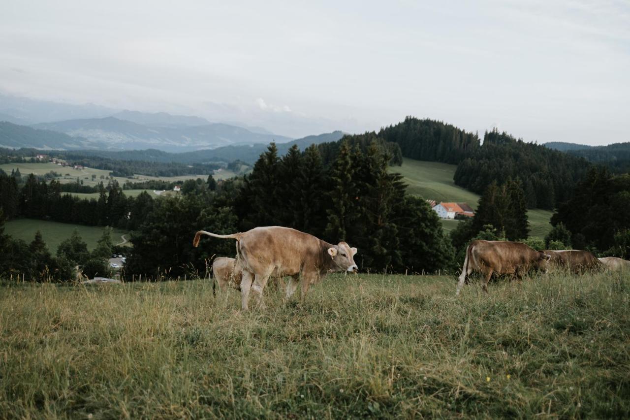 Ferienwohnung Alpenblick I Kamin I Private Sauna Ванген-ім-Алльгой Екстер'єр фото